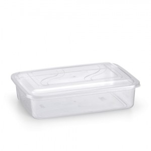 CONTAINER TRANSP.1439 ( RET.2,8LTS) 714392 RAINHA