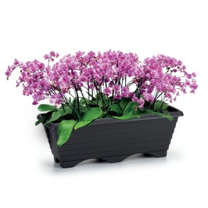 FLOREIRA PRETA  9,5LTS (46X21X16CM) 702542 RAINHA