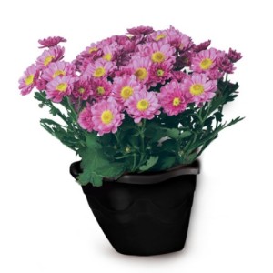 VASO PAREDE PRETO  /784116 INJEPLASTEC